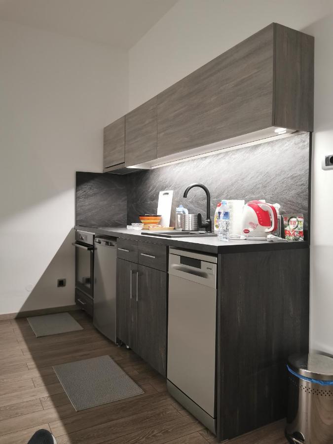 Apartman Pavlovic 1 Dedinje ภายนอก รูปภาพ